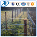 200g/m2 Hot Dipped Galvanized Farm Fence,Cattle Fence